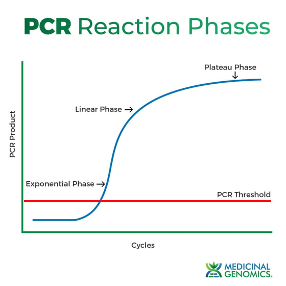 PCR-Phases