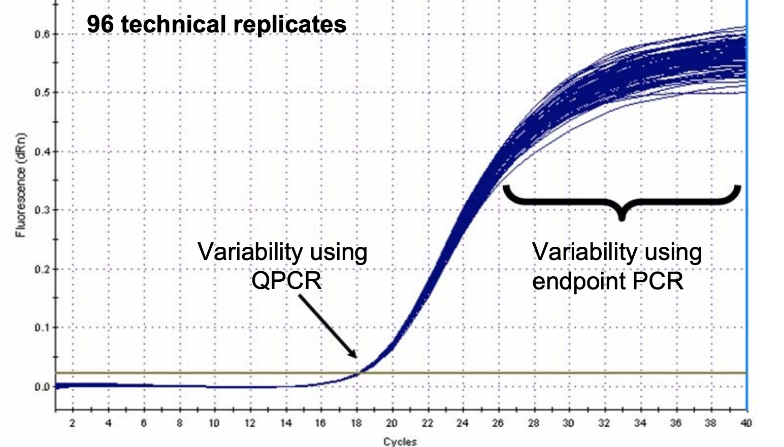 Why is Real-time PCR is superior to end-point PCR?